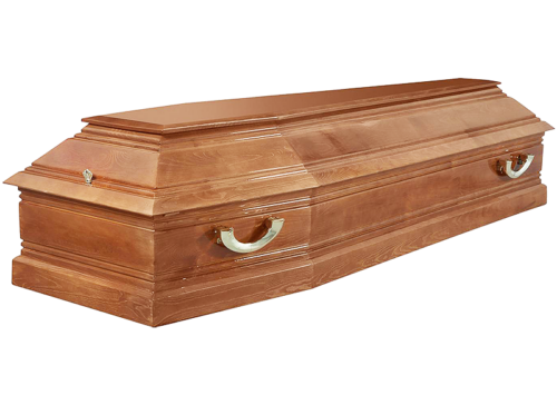 import placeholder for 1004