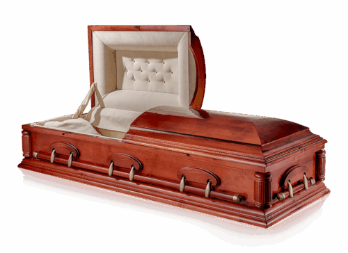 import placeholder for 1022