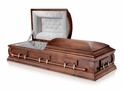 import placeholder for 1082